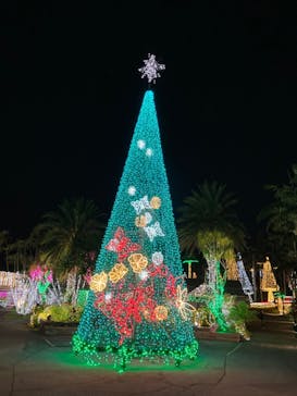 美らヤシパークオキナワ・東南植物楽園に投稿された画像（2021/12/9）