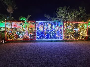 美らヤシパークオキナワ・東南植物楽園に投稿された画像（2021/12/9）