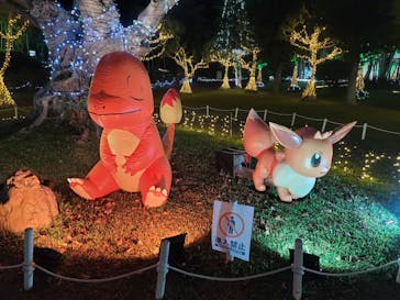 美らヤシパークオキナワ・東南植物楽園に投稿された画像（2021/12/9）