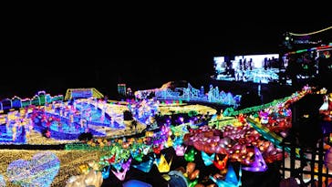 伊豆ぐらんぱる公園に投稿された画像（2021/12/9）