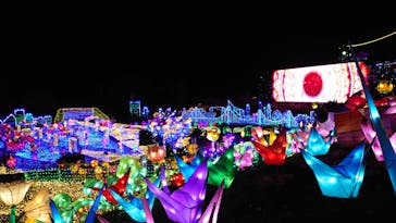 伊豆ぐらんぱる公園に投稿された画像（2021/12/9）