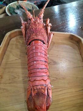 海女小屋はちまんかまどに投稿された画像（2021/12/9）