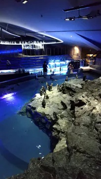 すみだ水族館に投稿された画像（2021/12/10）