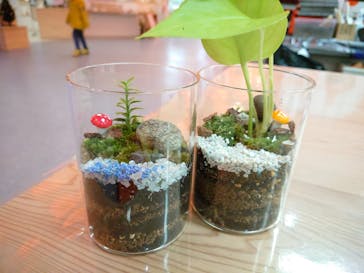 伊勢夫婦岩めおと横丁　めおと岩アクティビティに投稿された画像（2021/11/28）