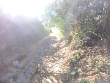 武藤潜水に投稿された画像（2021/12/10）