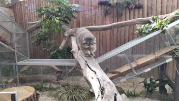 神戸どうぶつ王国に投稿された画像（2021/12/10）