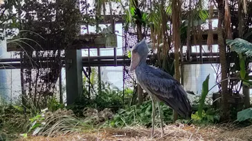 神戸どうぶつ王国に投稿された画像（2021/12/10）