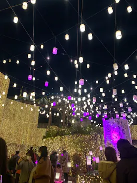 ひらかたパークに投稿された画像（2021/12/10）