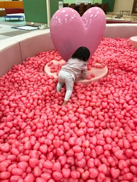 ハピピランド港北ルララに投稿された画像（2021/12/10）