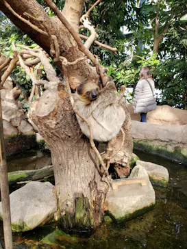 神戸どうぶつ王国に投稿された画像（2021/12/10）