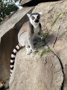 神戸どうぶつ王国に投稿された画像（2021/12/10）