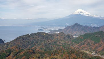 伊豆パノラマパークに投稿された画像（2021/12/10）