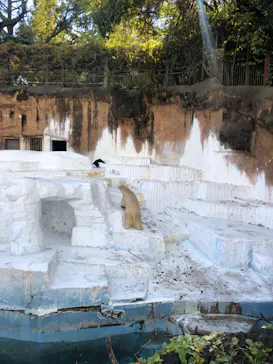 天王寺動物園に投稿された画像（2021/12/10）