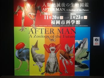 人類絶滅後の生物図鑑に投稿された画像（2021/12/10）