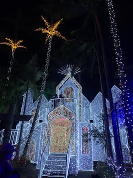 美らヤシパークオキナワ・東南植物楽園に投稿された画像（2021/12/10）