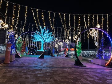 ポルトヨーロッパに投稿された画像（2021/12/10）