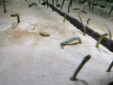 すみだ水族館に投稿された画像（2021/12/11）