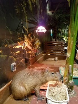 Moff animal world MARK IS みなとみらい店に投稿された画像（2021/12/11）