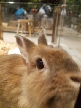 Moff animal world MARK IS みなとみらい店に投稿された画像（2021/12/11）