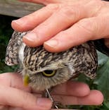 富士花鳥園に投稿された画像（2021/12/11）