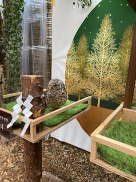 富士花鳥園に投稿された画像（2021/12/11）