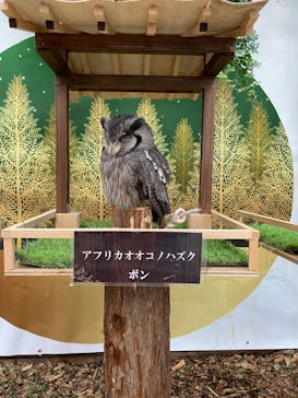 富士花鳥園に投稿された画像（2021/12/11）