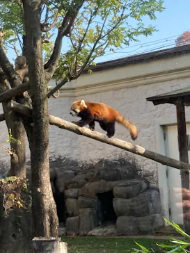 天王寺動物園に投稿された画像（2021/12/11）