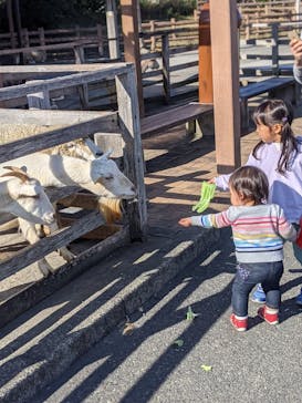 アロハガーデンたてやまに投稿された画像（2021/12/11）