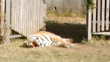 天王寺動物園に投稿された画像（2021/12/11）