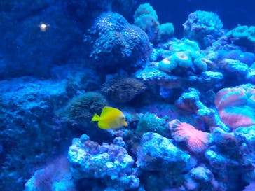 マクセル アクアパーク品川に投稿された画像（2021/12/11）