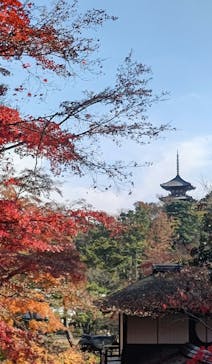 三溪園に投稿された画像（2021/12/11）