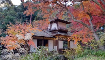 三溪園に投稿された画像（2021/12/11）