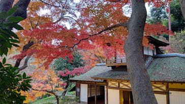 三溪園に投稿された画像（2021/12/11）