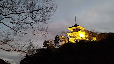 三溪園に投稿された画像（2021/12/11）