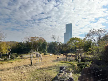 天王寺動物園に投稿された画像（2021/12/11）