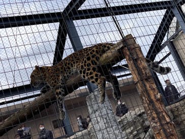 旭川市旭山動物園に投稿された画像（2021/12/11）