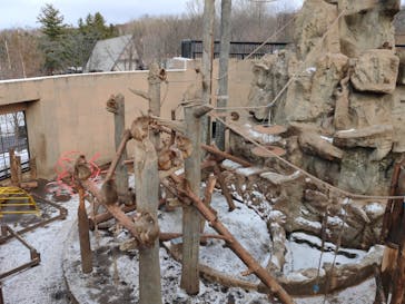 旭川市旭山動物園に投稿された画像（2021/12/6）