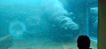 旭川市旭山動物園に投稿された画像（2021/12/6）