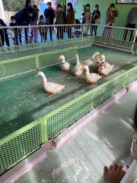 別府ケーブルラクテンチに投稿された画像（2021/12/11）