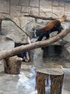 天王寺動物園に投稿された画像（2021/12/11）