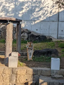 天王寺動物園に投稿された画像（2021/12/11）