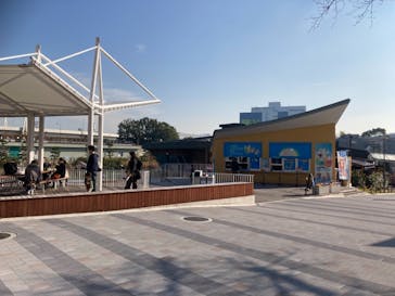 しながわ水族館に投稿された画像（2021/12/11）