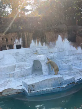 天王寺動物園に投稿された画像（2021/12/11）