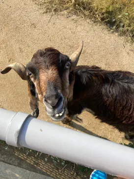 天王寺動物園に投稿された画像（2021/12/11）