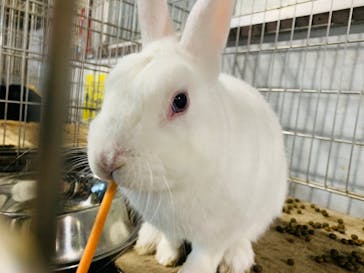 那須高原りんどう湖ファミリー牧場に投稿された画像（2021/12/11）