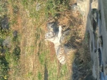 伊豆アニマルキングダムに投稿された画像（2021/12/11）