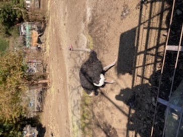 伊豆アニマルキングダムに投稿された画像（2021/12/11）