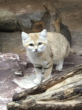 那須どうぶつ王国に投稿された画像（2021/12/11）