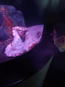 サンシャイン水族館に投稿された画像（2021/12/11）