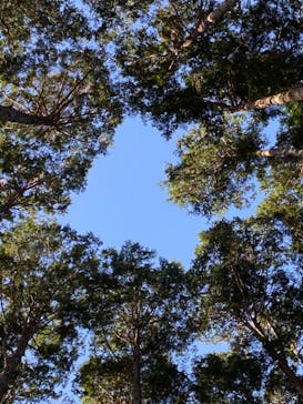 アドベンチャーパーク　オドルの森に投稿された画像（2021/12/5）